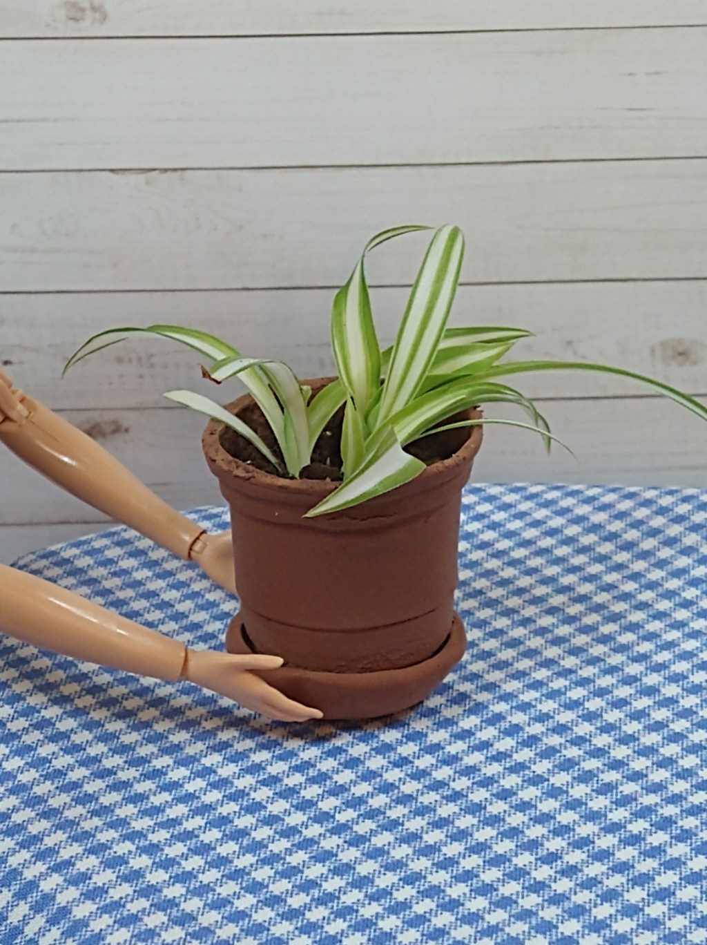 DIY Mini Clay Pot [6:1 Scale for Fashion&nbsp;Dolls]